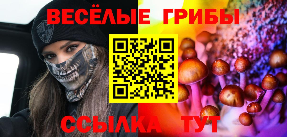 Галлюциногенные грибы Magic Shrooms Свободный
