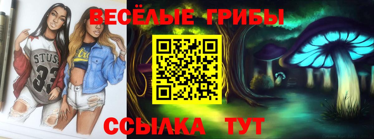 Галлюциногенные грибы Psilocybine cubensis  Псилоцибиновые грибы Cubensis  Вход с VPN  цены наркотик  Свободный 
